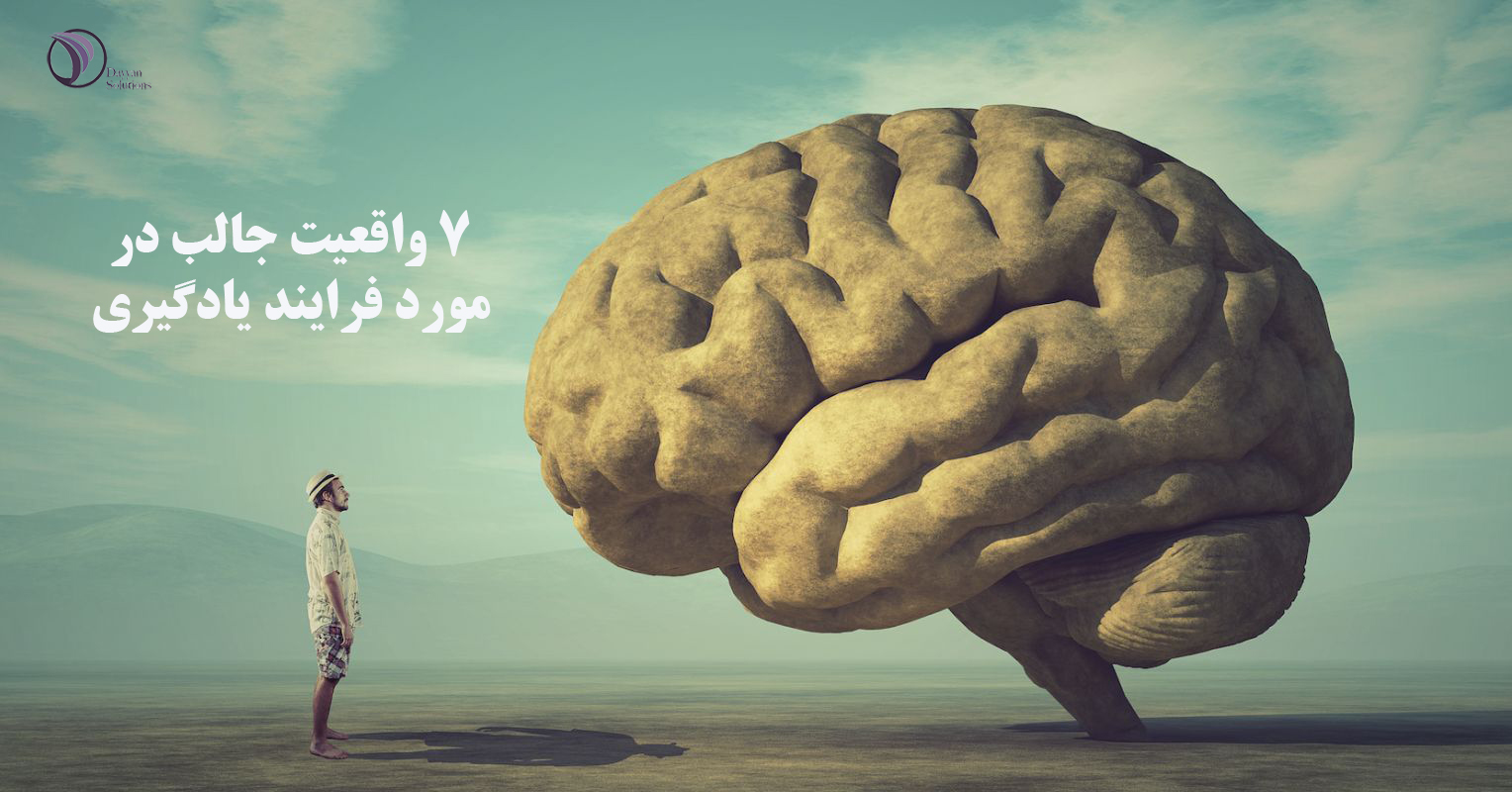 هفت واقعیت جالب در مورد فرآیند یادگیری